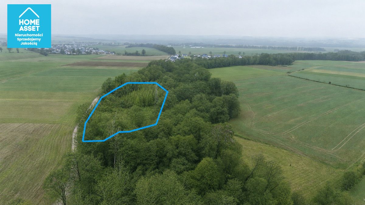 Działka budowlana Werblinia, ul. Leśna. Zdjęcie 8