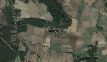 dom wolnostojący Cieszyny