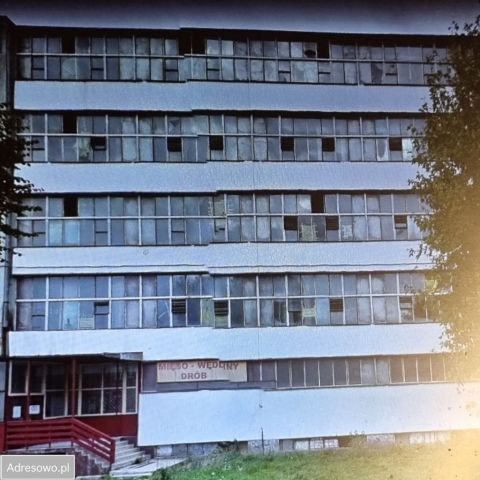 Hala/magazyn Piława Górna, ul. Piastowska. Zdjęcie 1