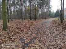 Działka siedliskowa Rudna Mała. Zdjęcie 3