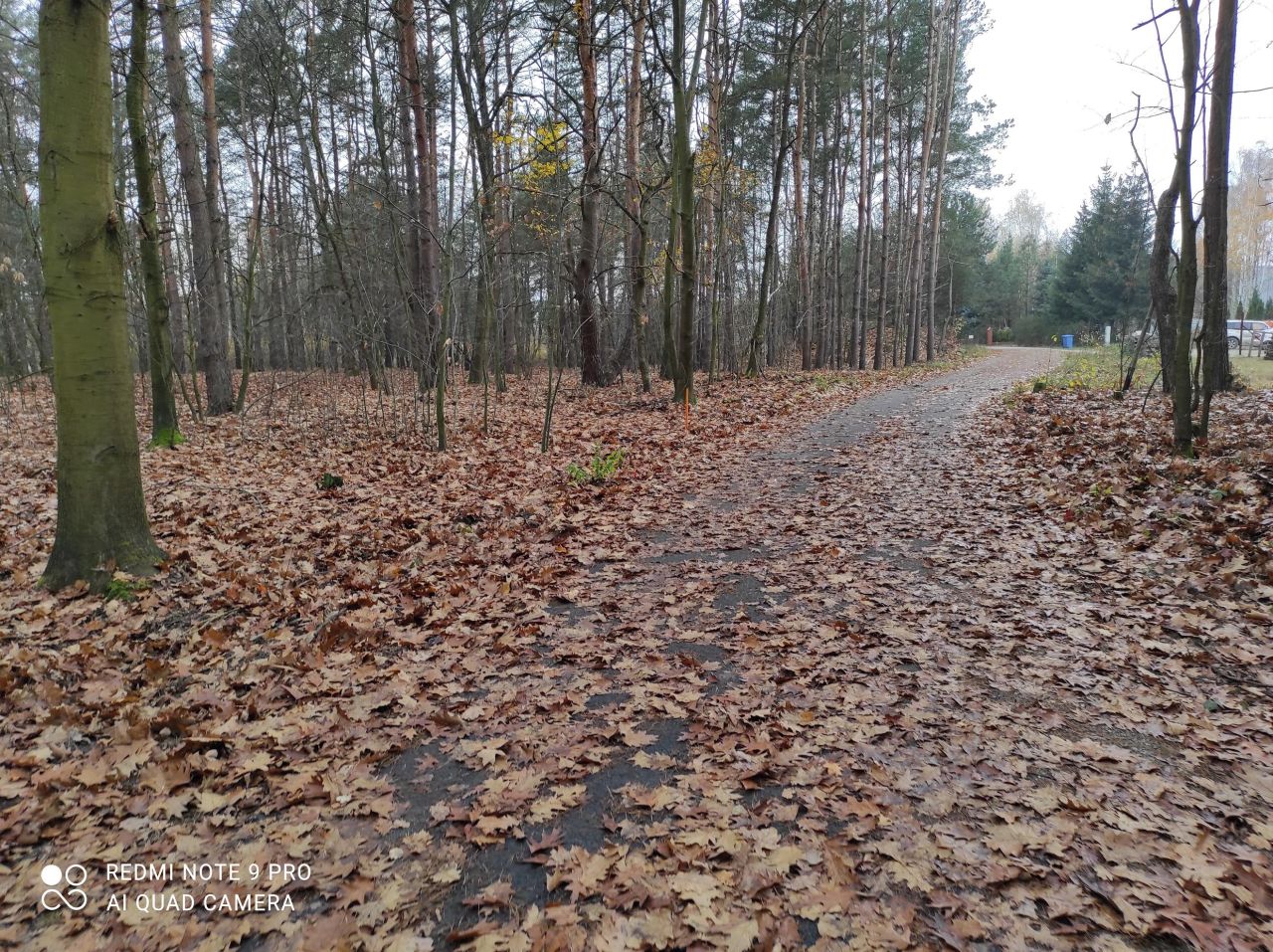 Działka siedliskowa Rudna Mała. Zdjęcie 4