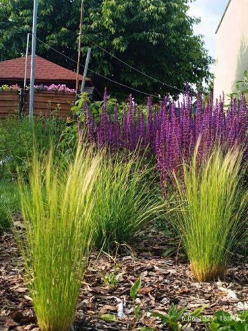 Mieszkanie 2-pokojowe Ożarów Mazowiecki. Zdjęcie 6