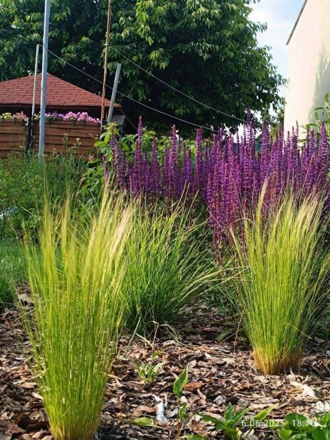 Mieszkanie 2-pokojowe Ożarów Mazowiecki. Zdjęcie 6