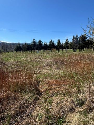 Działka budowlana Piechowice. Zdjęcie 1