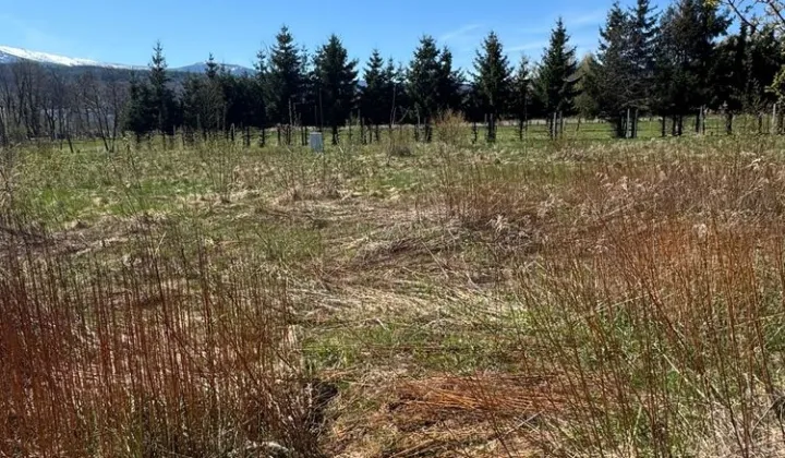 Działka budowlana Piechowice