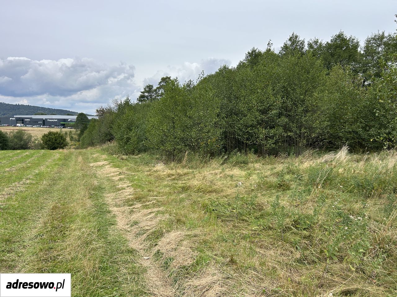 Działka rolna Rybarzowice. Zdjęcie 6