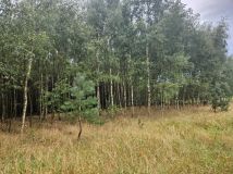 Działka leśna Karniszewo. Zdjęcie 3