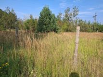 Działka rolno-budowlana Łęgi. Zdjęcie 2