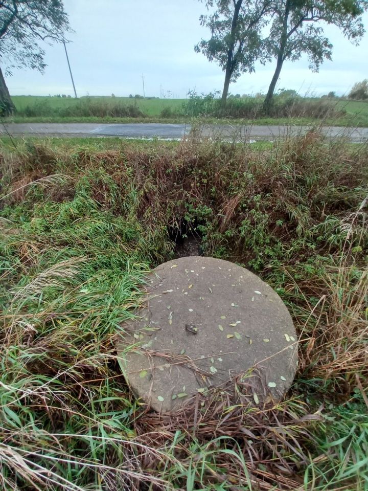 Działka inwestycyjna Żelice. Zdjęcie 3