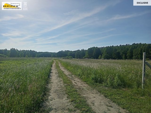 Działka inwestycyjna Chociwel. Zdjęcie 5