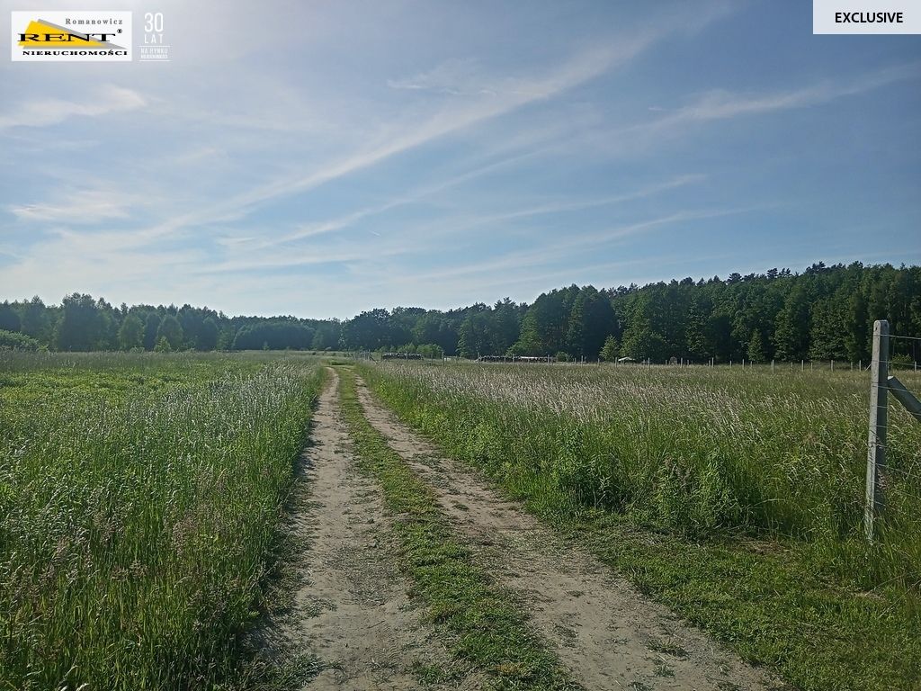 Działka inwestycyjna Chociwel. Zdjęcie 5