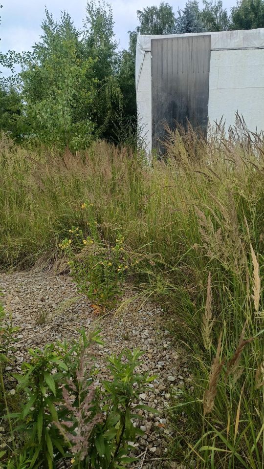 dom wolnostojący, 2 pokoje Żory Osiny, ul. Szczęśliwa. Zdjęcie 3