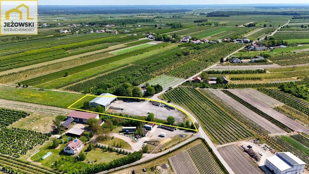 Hala/magazyn Wojciechów. Zdjęcie 12