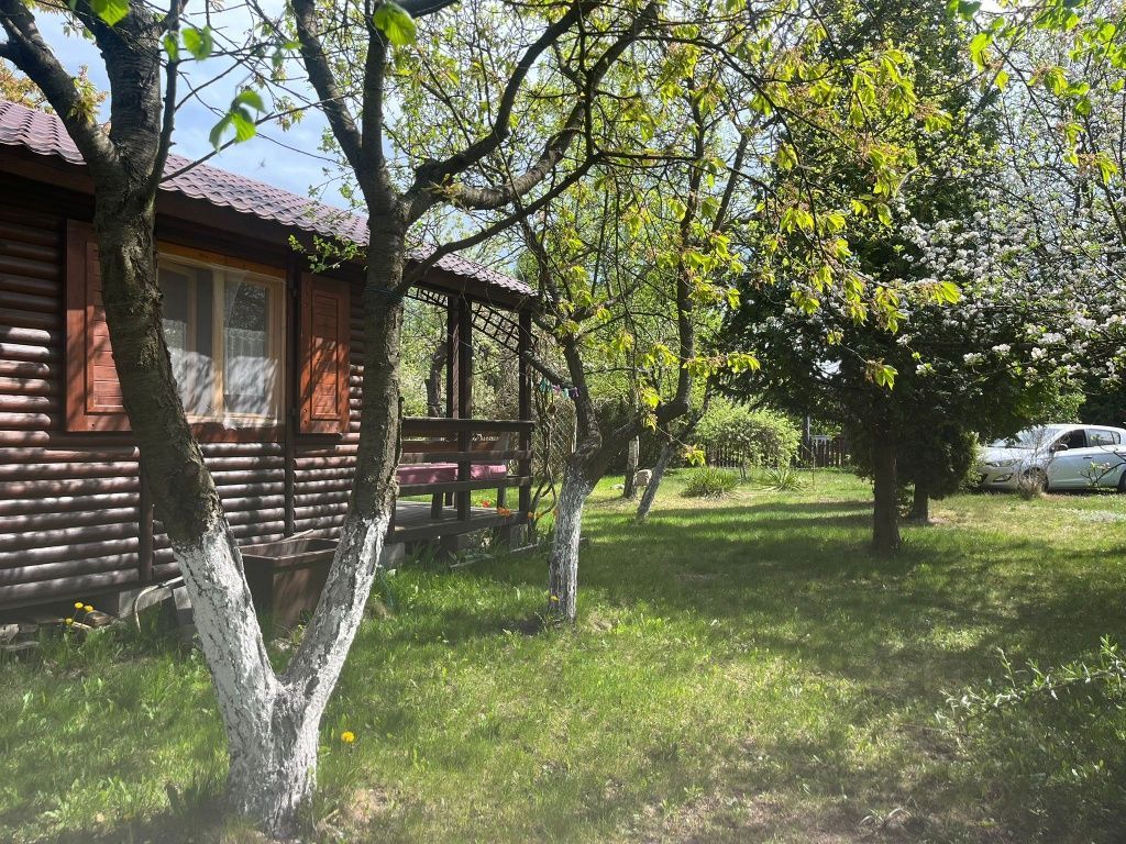 Działka rod Maksymilianowo. Zdjęcie 7