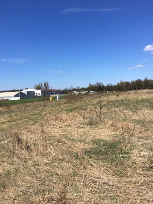 Działka budowlana Nowe Chechło, ul. Lasowicka. Zdjęcie 5