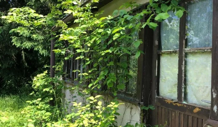 Działka budowlana Waliska