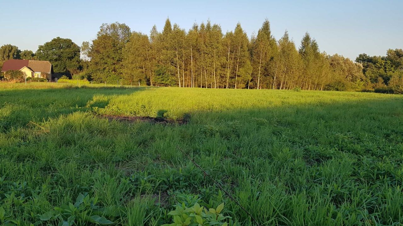 Działka budowlana Gorlice. Zdjęcie 5