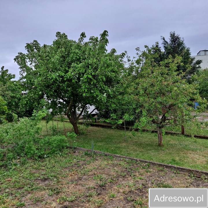 Działka rod Szczecin Pomorzany, ul. Sierpowa