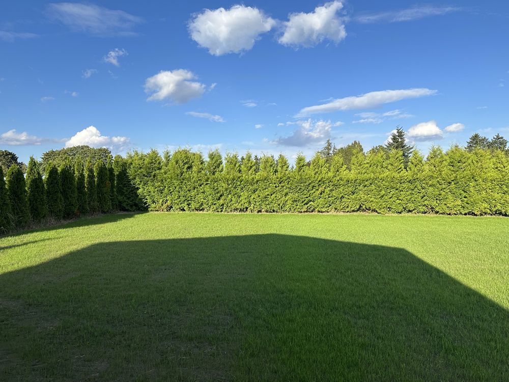 Działka budowlana Ząbrowo. Zdjęcie 6