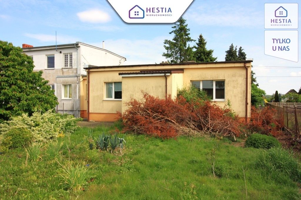 Lokal Reńsko. Zdjęcie 4