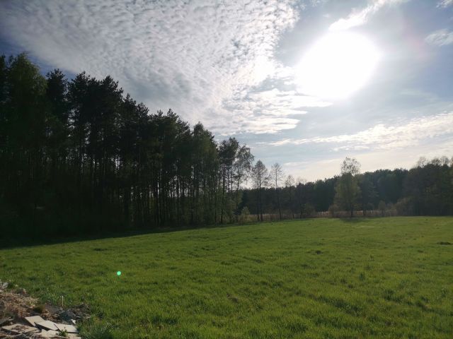 Działka budowlana Bujny Księże. Zdjęcie 12