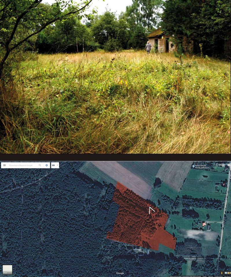 Działka leśna Turna Duża. Zdjęcie 35