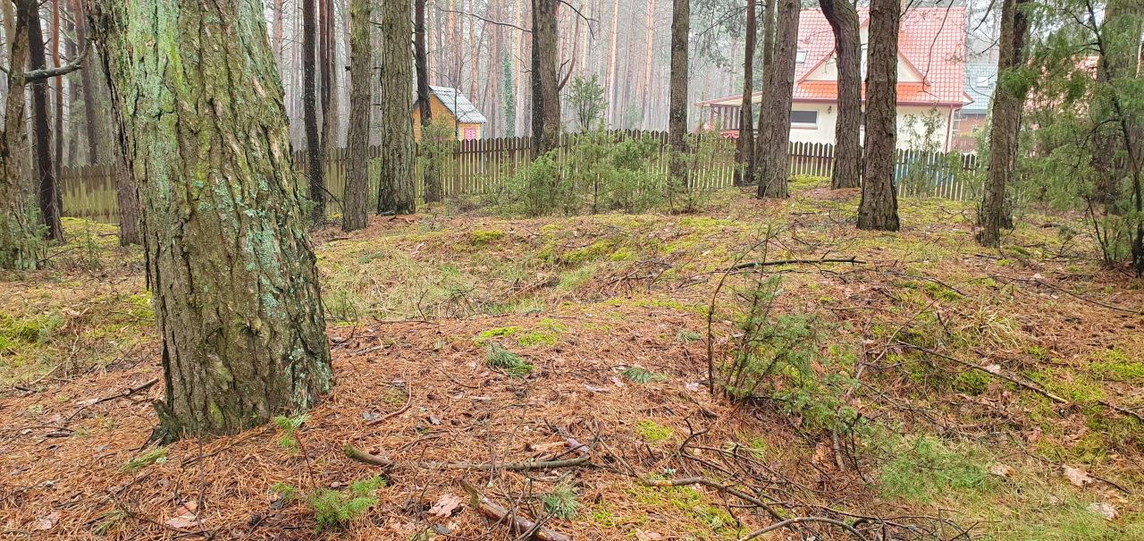 Działka rekreacyjna Nowe Łachy. Zdjęcie 7