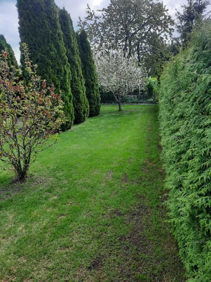 Działka rod Jastrowie, ul. Mickiewicza. Zdjęcie 6