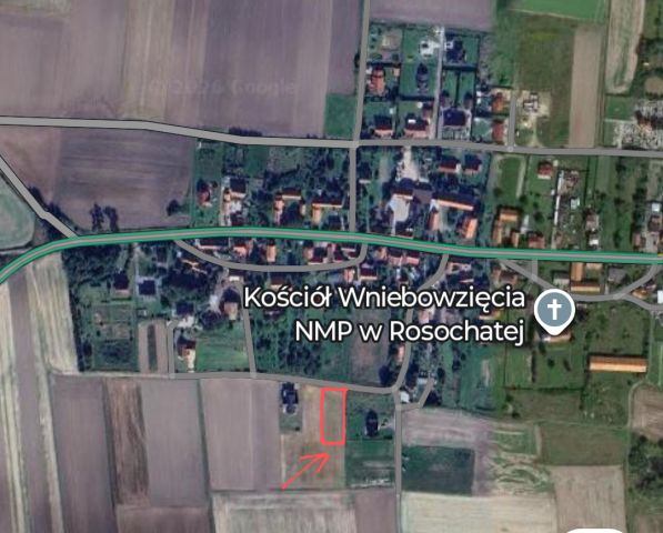 Działka rolno-budowlana Rosochata. Zdjęcie 1