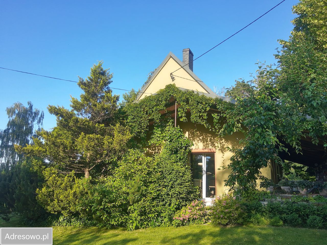 dom wolnostojący, 5 pokoi Pszczonki. Zdjęcie 13