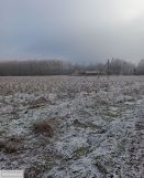 Działka rolna Żuków. Zdjęcie 3