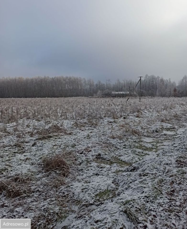 Działka rolna Żuków. Zdjęcie 4