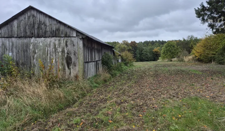 Działka budowlana Piotrkówek