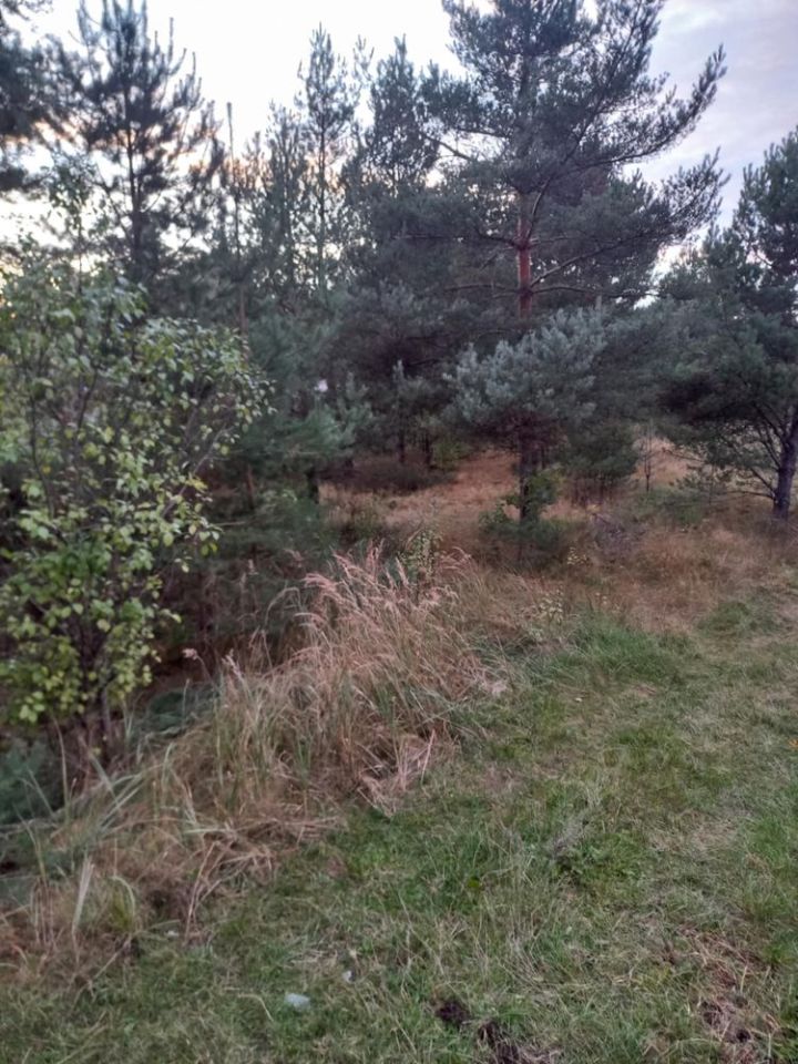 Działka rolna Górki. Zdjęcie 6