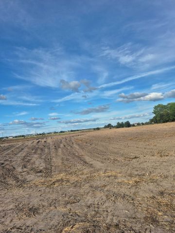Działka rolna Milęcin. Zdjęcie 1