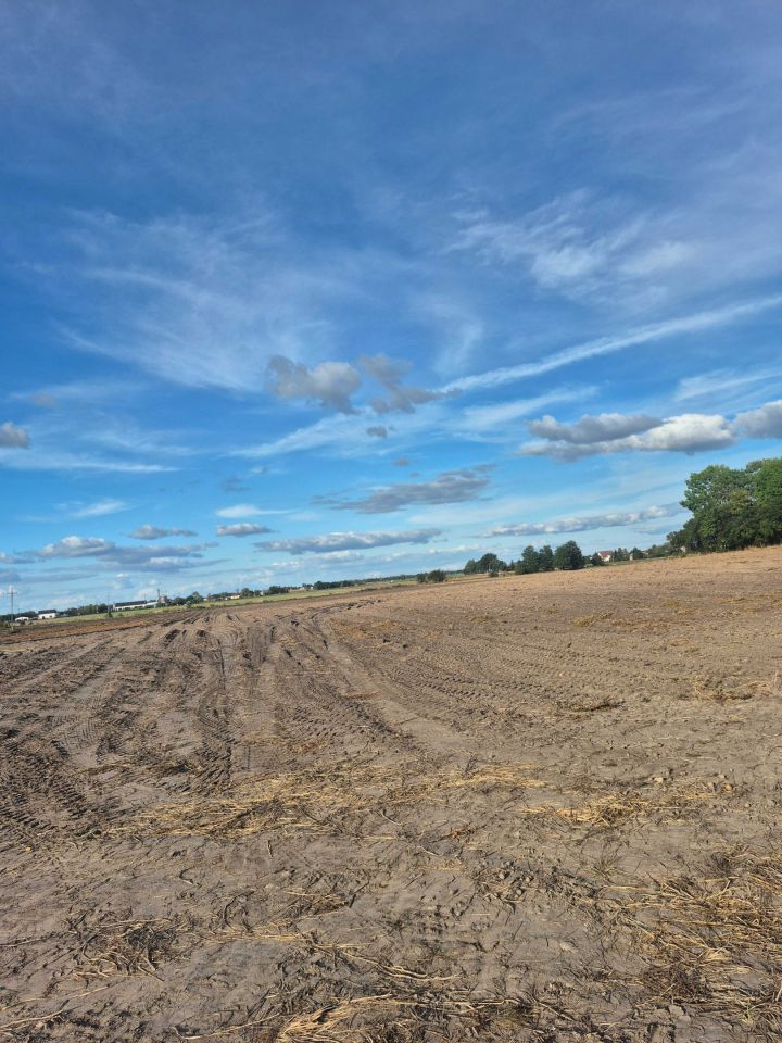 Działka rolna Milęcin. Zdjęcie 1