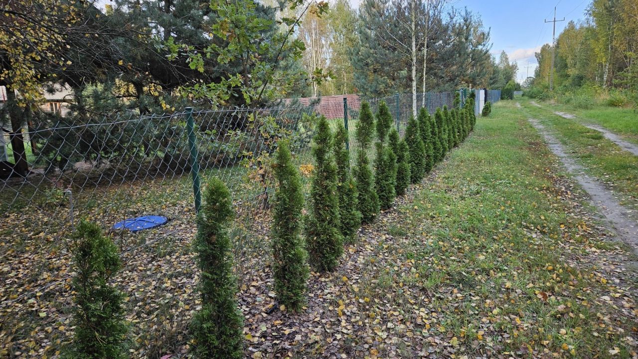 Działka rekreacyjna Grabniak. Zdjęcie 8