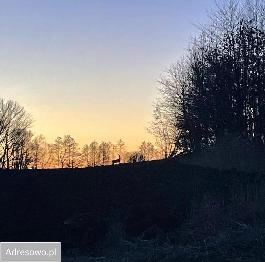 dom wolnostojący, 5 pokoi Zabłocie. Zdjęcie 9