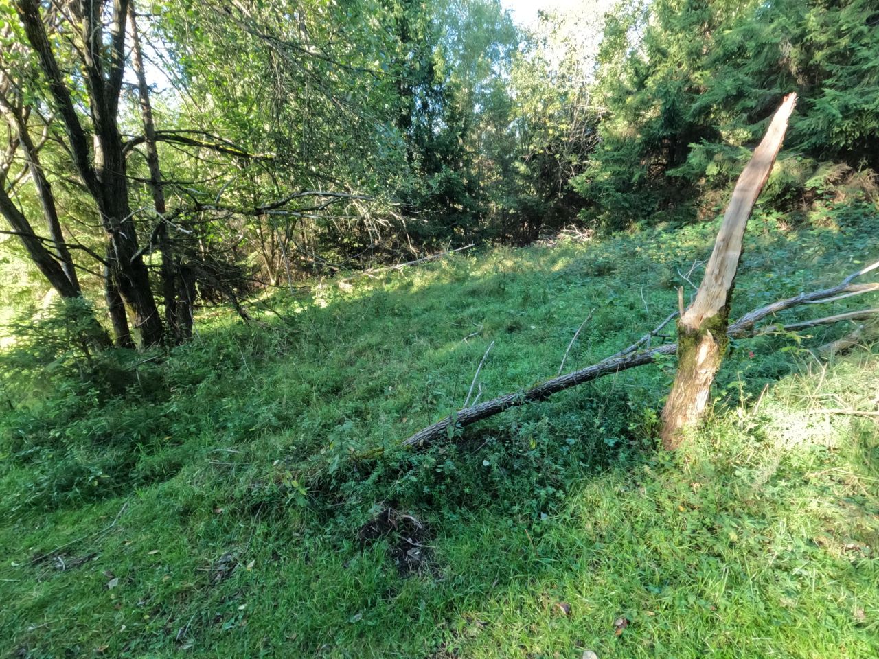 Działka rolna Sól Na Bugaju, Brak ulicy. Zdjęcie 13