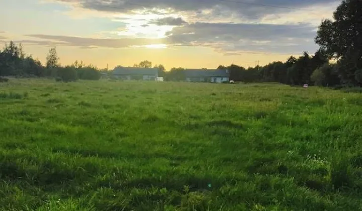 Działka budowlana Zamek Bierzgłowski, ul. Sosnowa