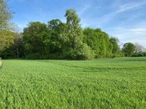 Działka siedliskowa Rucewo. Zdjęcie 2