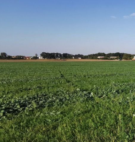 Działka budowlana Strzelce Górne. Zdjęcie 1