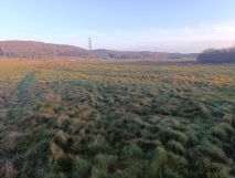 Działka rolna Tyłowo. Zdjęcie 2