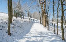 Działka budowlana Konradów. Zdjęcie 3