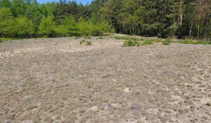 Działka rekreacyjna Goreń Duży, Kurkowa