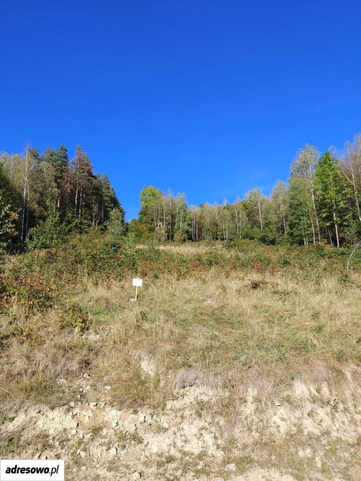 Działka Zawoja Piergiesowe Polanki. Zdjęcie 6