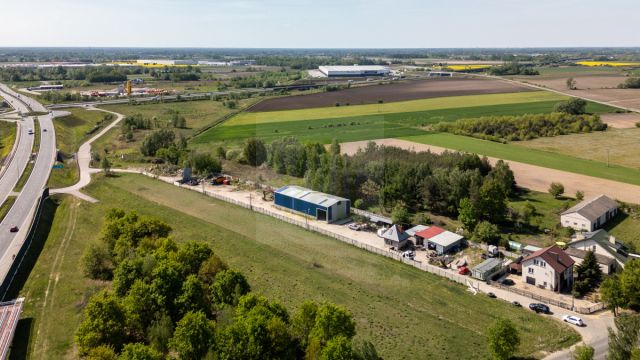 Działka inwestycyjna Tłuste. Zdjęcie 13