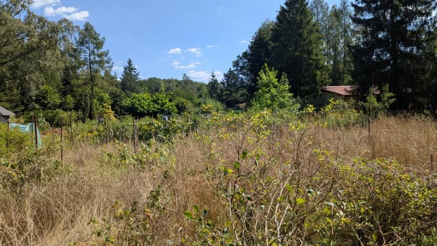 Działka rolna Chojnów. Zdjęcie 6