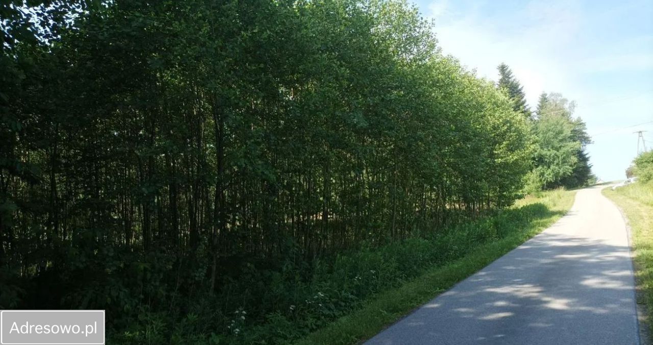 Działka budowlana Rzepiennik Strzyżewski. Zdjęcie 3