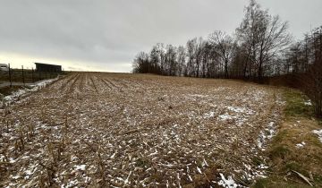 Działka rolno-budowlana Królówka